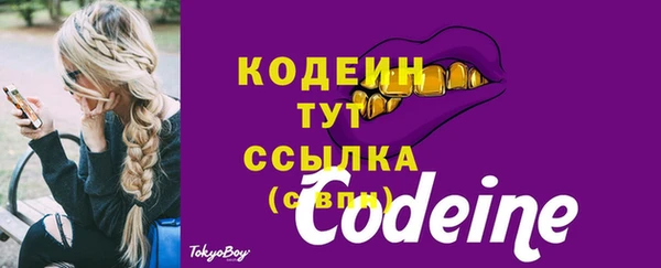 амф Чердынь