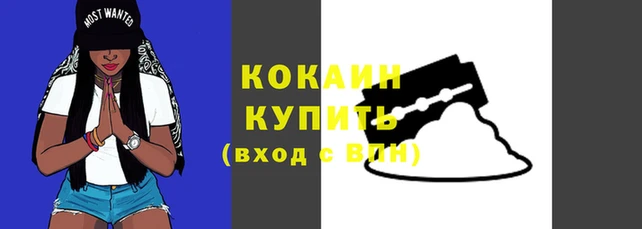 амф Чердынь