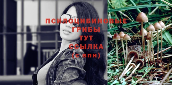 соль ск Чекалин