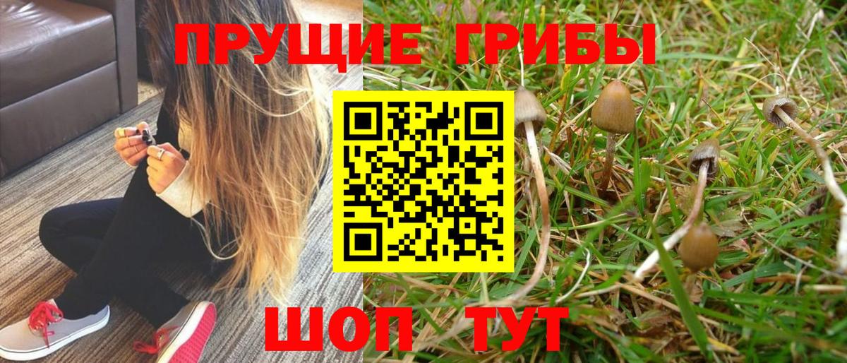Псилоцибиновые грибы MAGIC MUSHROOMS Ковров