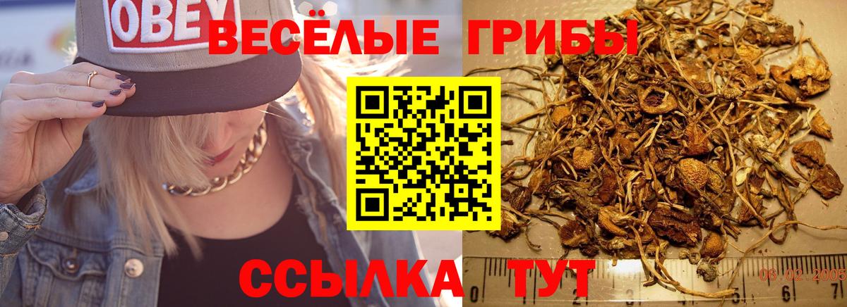 Псилоцибиновые грибы GOLDEN TEACHER  Псилоцибиновые грибы Cubensis  Ковров 