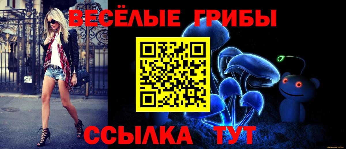 Псилоцибиновые грибы GOLDEN TEACHER  Вход с VPN  Ковров 